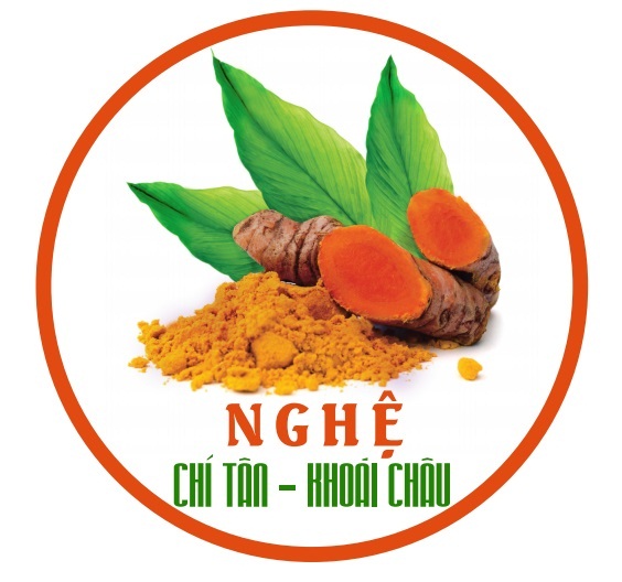 200++ Mẫu thiết kế logo hình củ Nghệ đẹp (cập nhật 2024)