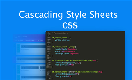 CSS là gì? Những thông tin thú vị về CSS (cập nhật 2024)